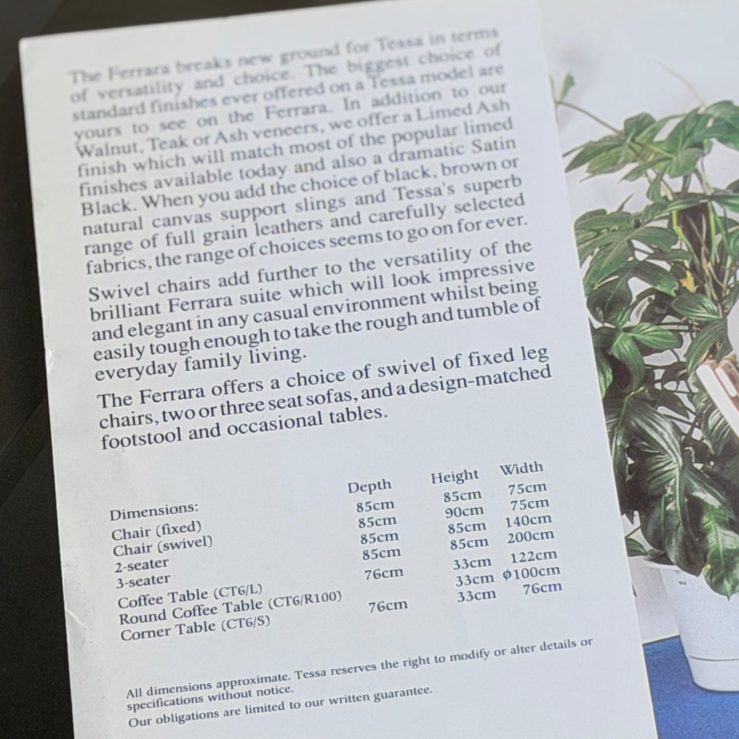 A brochure about the Tessa Ferrara Lounge Suite – Complete 5-Piece Set (Revive) sits on a white tabletop with a green leafy plant, showing dimensions for mid-century modern seating and tables designed by Fred Lowen.