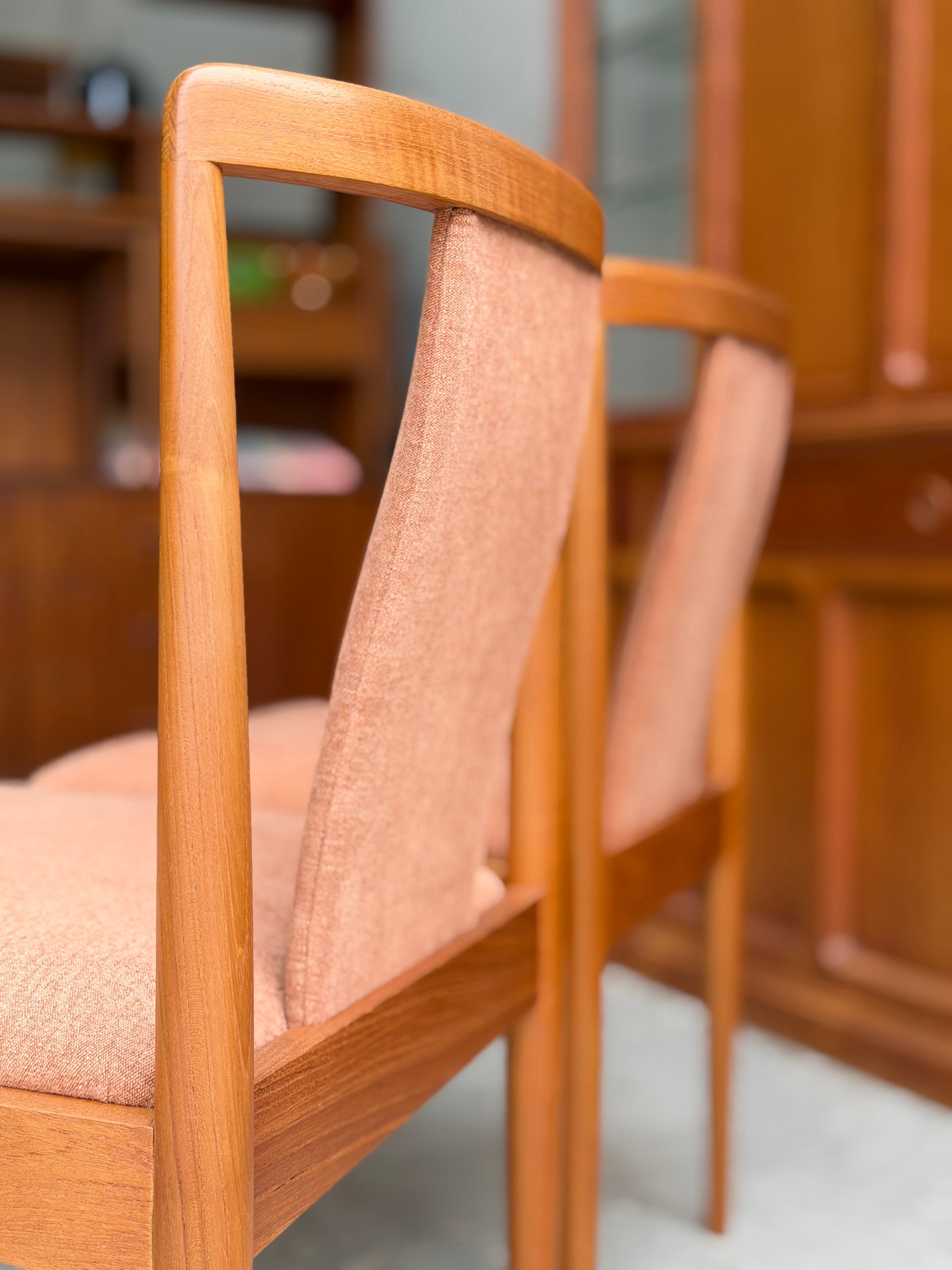 Two fully restored Parker T-Back Number 88 dining chairs from a set of four in terracotta upholstery are positioned side by side in a room with wooden furniture and soft lighting.