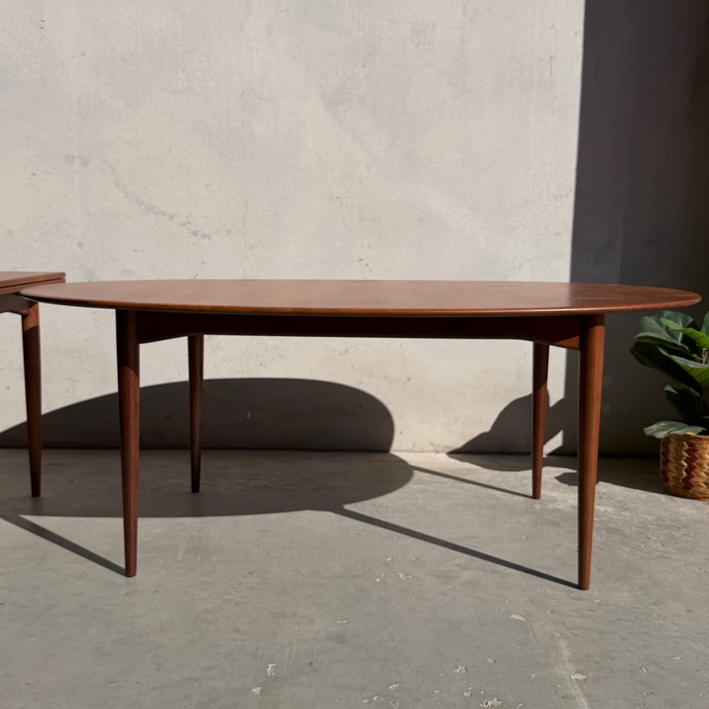 A fully restored Mid-Century Parker 91 oval teak dining suite with 6 Fler 64 blackwood chairs stands on a concrete floor by a light wall, sunlight casting shadows and a potted plant partially visible to the right.